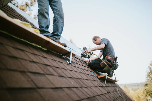 Quick and Trustworthy Emergency Roof Repair Services in Cokato, MN