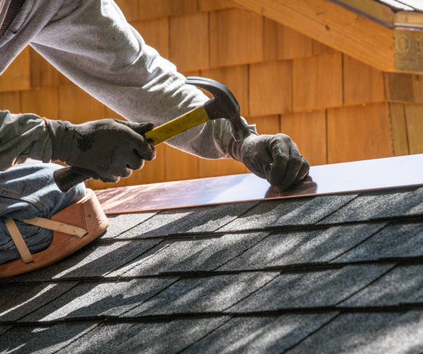 Best Metal Roofing Contractor  in Cokato, MN